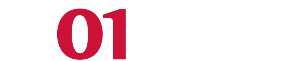 Logo 1